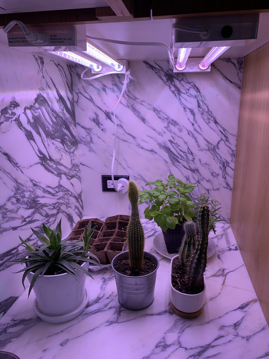 Logan La Barbera tweet media