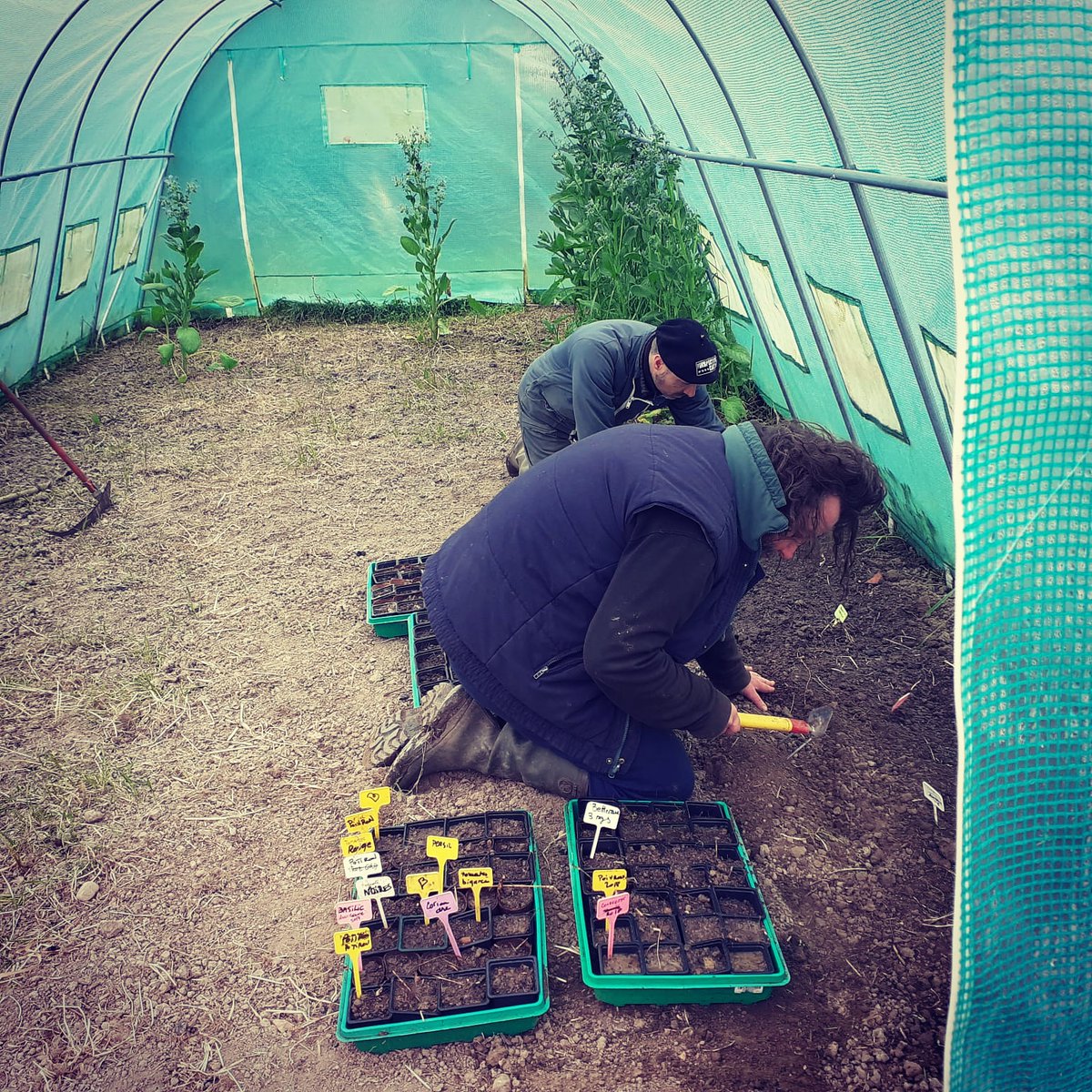 FARM WORK at Lou Casse farm:
Working the soil in the green house more than ever...
Trabajando el suelo en el invernadero mas que nunca...
Travail de la terre dans la serre, plus que jamais...
#rockfarmers 
#wethepeopleofthesoil