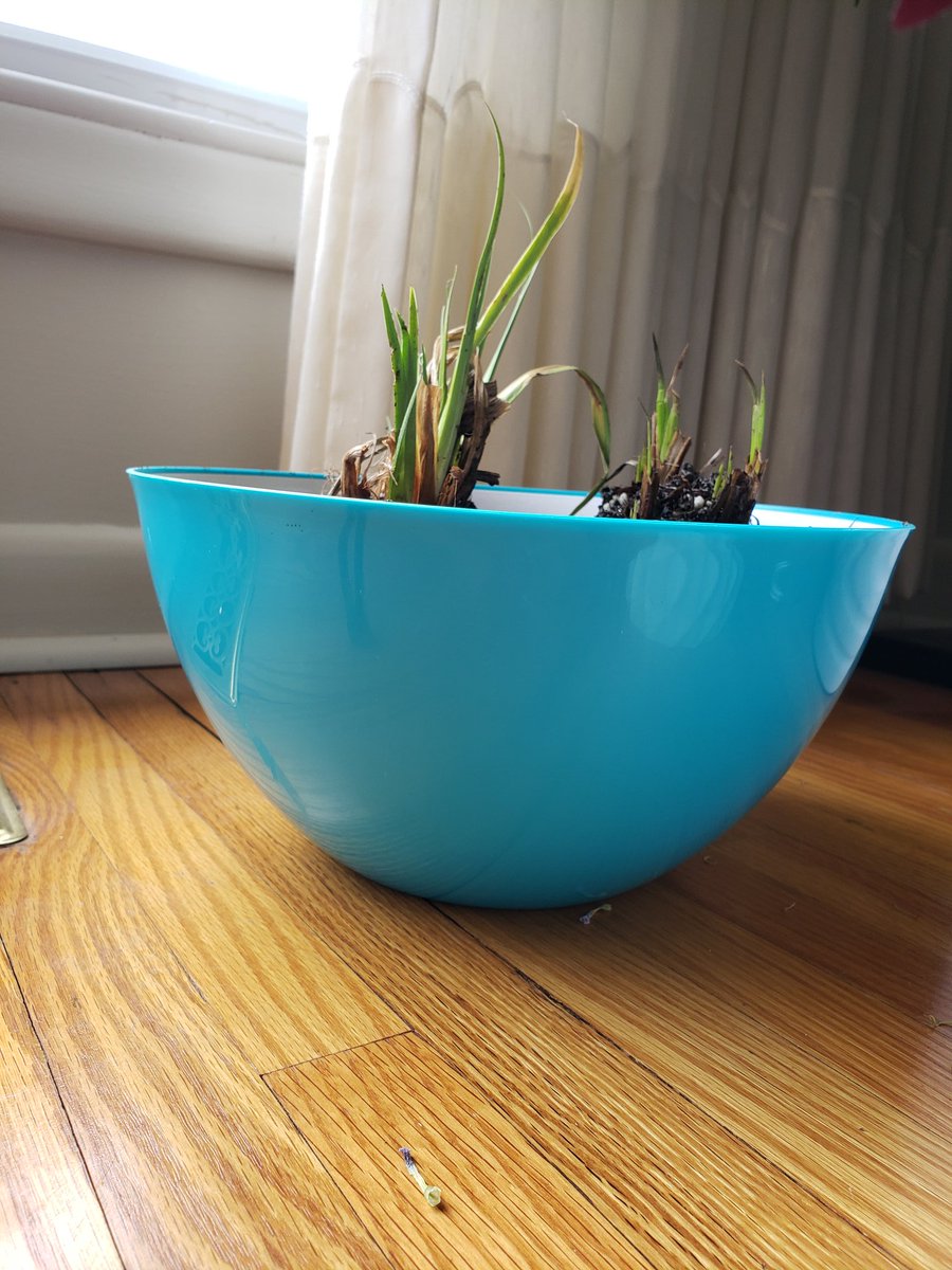 HamiltonHarbour's tweet image. Last year, our Mini Marsh program reached almost 350 classes! This year, it is coming to you with the power of social media!
facebook.com/109621337531/p…