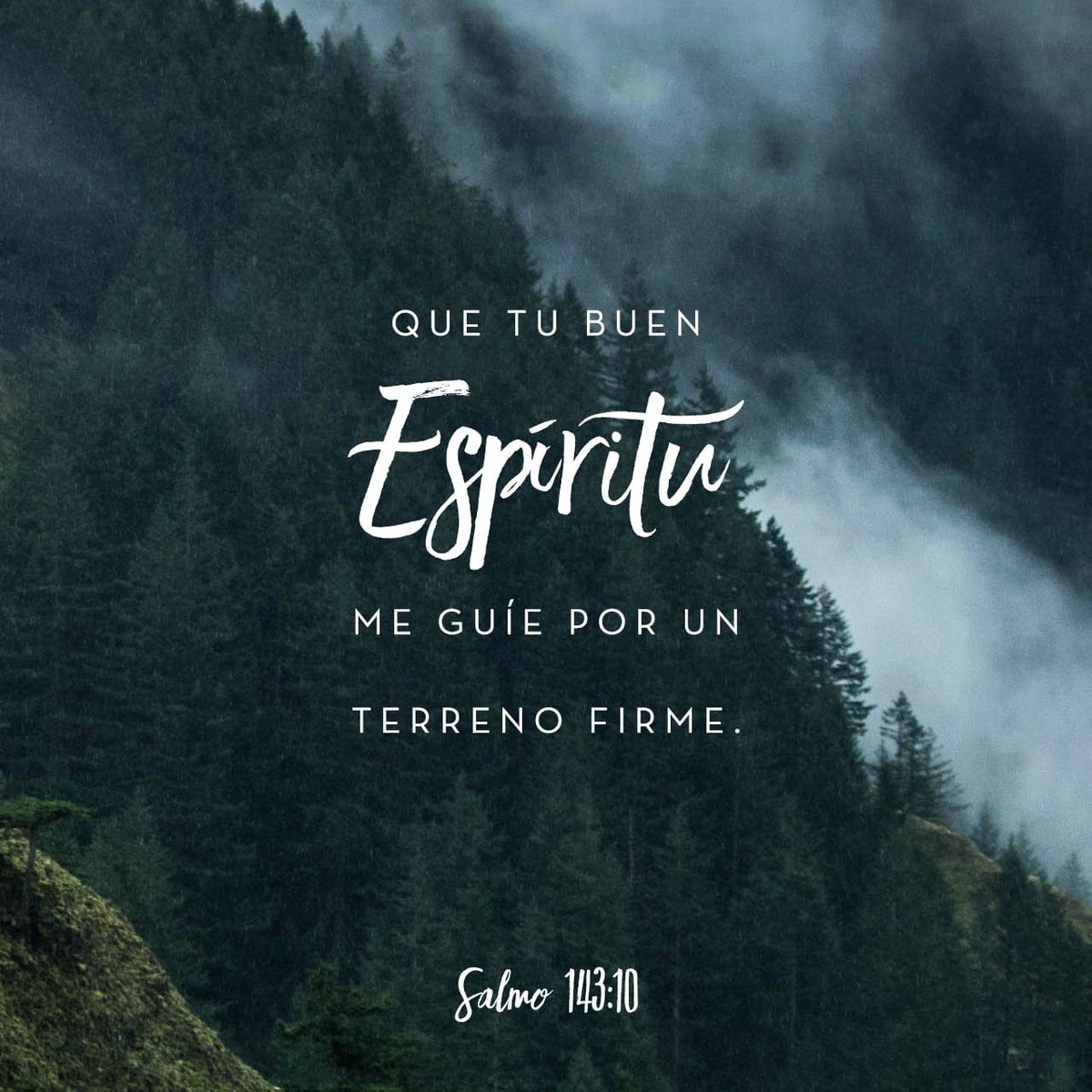 Diadose1's tweet photo. Bendecido #lunes!! #Procuremos  no tomar #decisiones ni #acciones por Las #circunstancias que #vivimos , #aprendamos a #seguir El #Camino que nos #guia El #Espiritu de #Dios , El cual es #Perfecto!! https://t.co/jVldTG3eTe