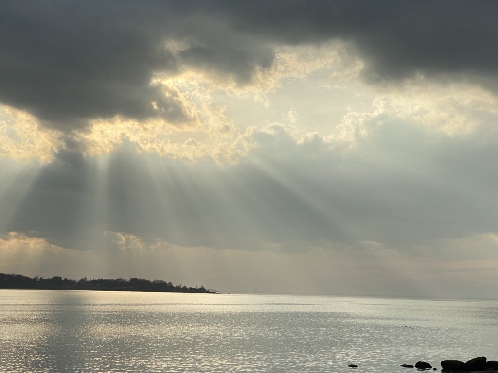 Ms. Bolz tweet media