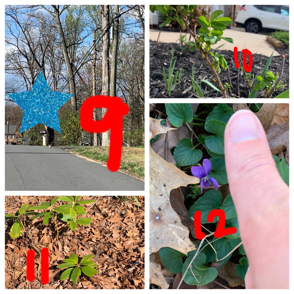 MissJParry's tweet photo. #SullyScavengerHunt @MissChambers_ and I had so much fun on our walk! @Abearin2nd number 9 is a Jogger (covered face for respect) and number 13 is a PAIR of roommates! https://t.co/bSLOLeZVn7