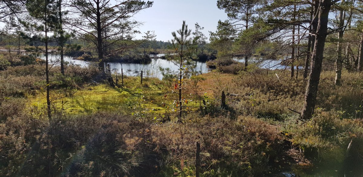 JonnyEcology's tweet image. Where in the world will protecting and restoring nature also help secure carbon stocks? UNEP-WCMC's @delamoxavi and @olivertallowin explain unep-wcmc.org/news/blog--nat… #naturemap