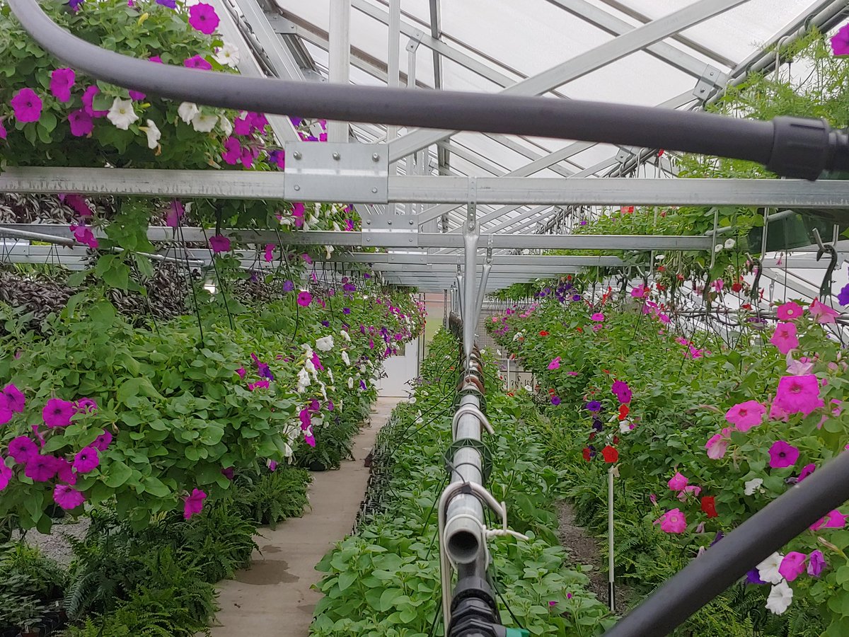 Portland FFA tweet media