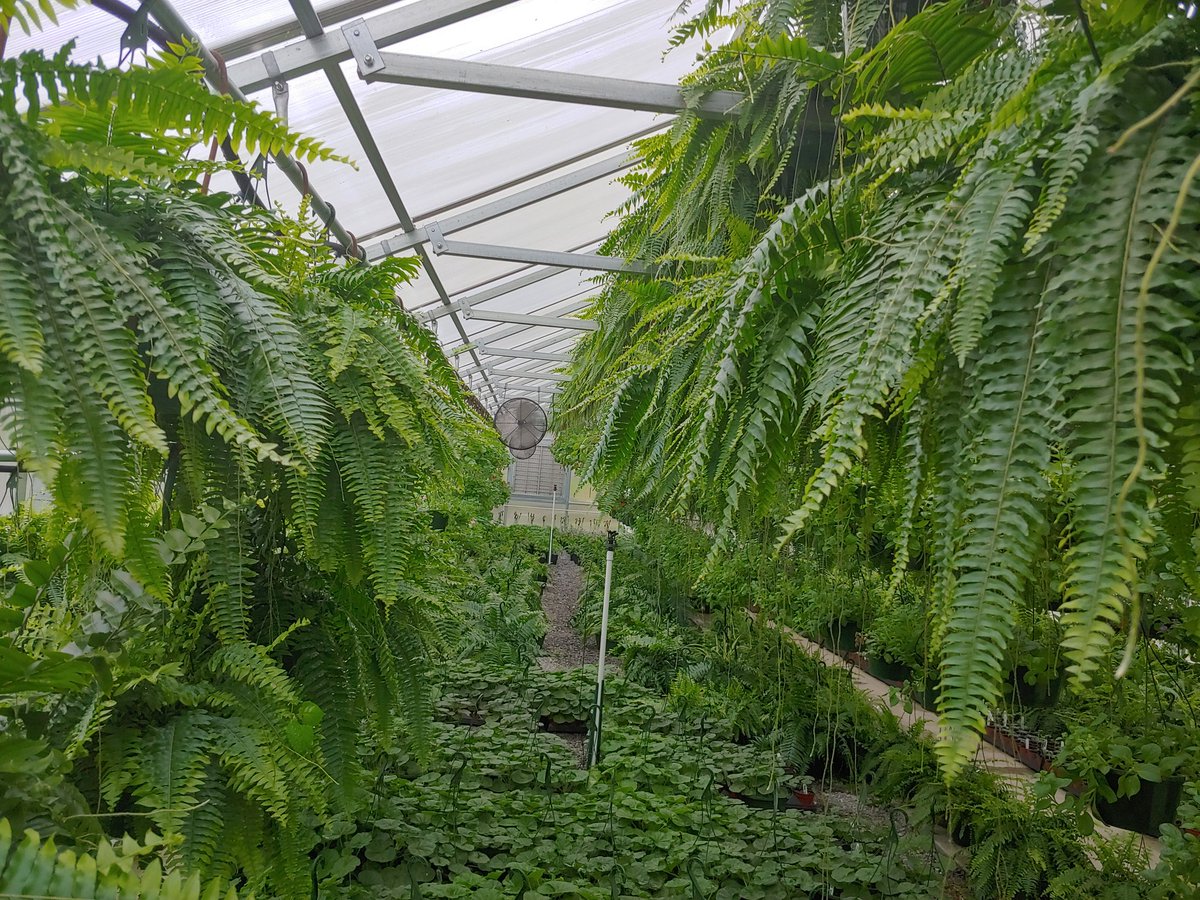 Portland FFA tweet media