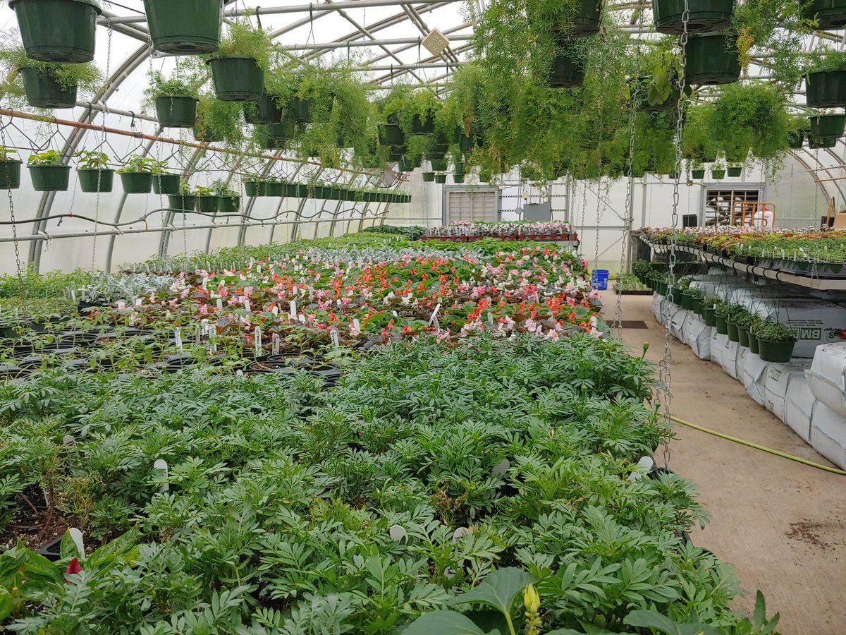 Happy Monday from the greenhouse!!!  Hope these pictures brighten your day!!