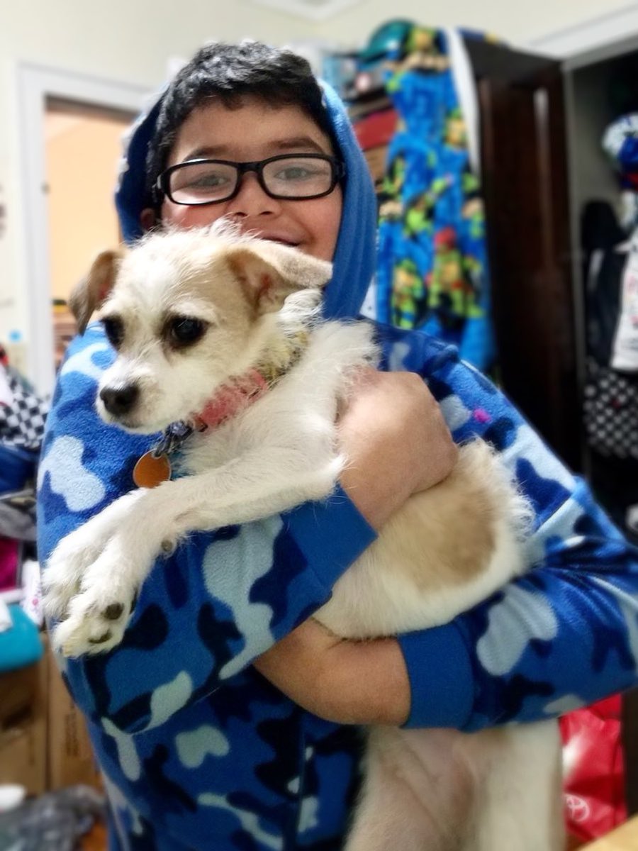 It is animal selfie day! 🐶 Nathaniel from 3BG is showing off his Irving pride by participating in the first day of our virtual spirit week. #irvingpride #springbreak2020 #d100inspires