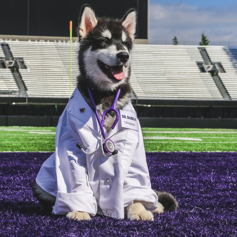 No better day to celebrate #NationalDoctorDay. Now more than ever, we appreciate how essential our healthcare workers are and how much they sacrifice to keep us safe. 💜💛 Thank you, doctors! #UWServes