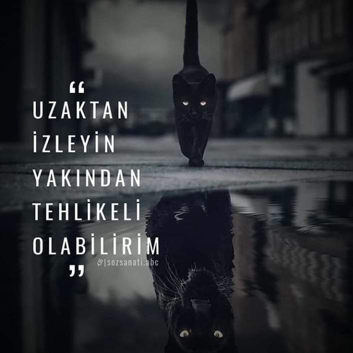 00:00

^
#salı
#GoodNightTwitterWorld