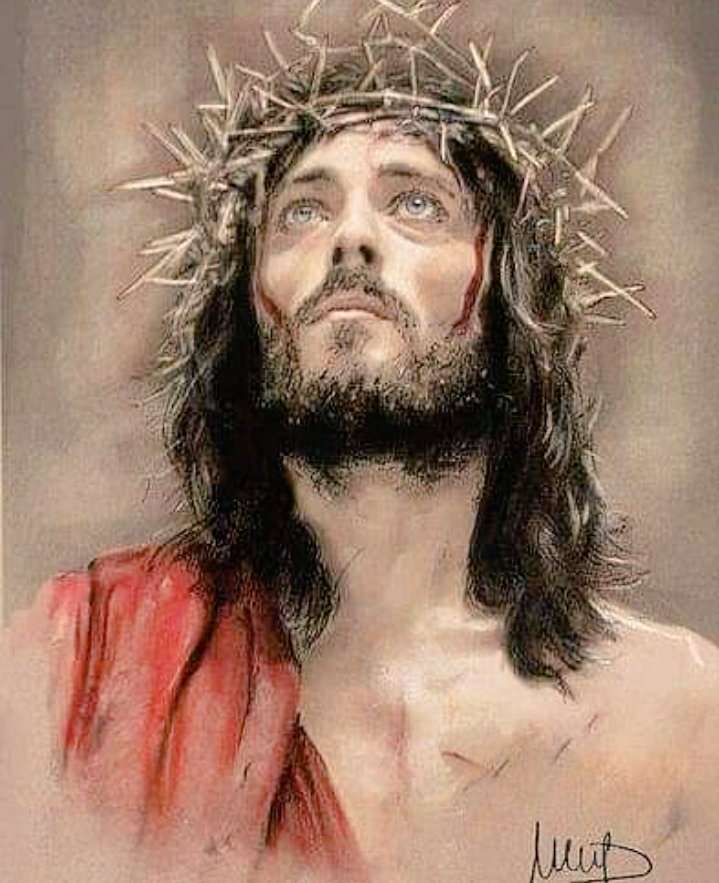 FoxLimaRomeoGo3's tweet photo. Eventos que NO
fueron cancelados ;

》 LEER LA BIBLIA 

》 ADORAR 

》 ORAR 

FOX 

Buen provecho 

Q. D. N. B. Amén https://t.co/Js4wtiXk23