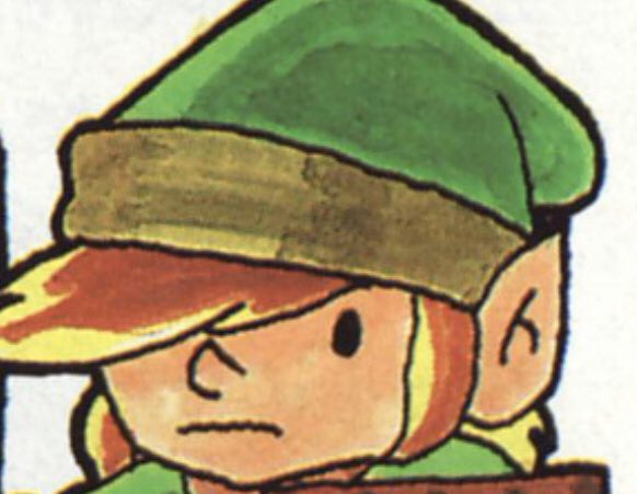 8bithero's tweet photo. @Linkle_The_Hero https://t.co/5x20D55Zo4