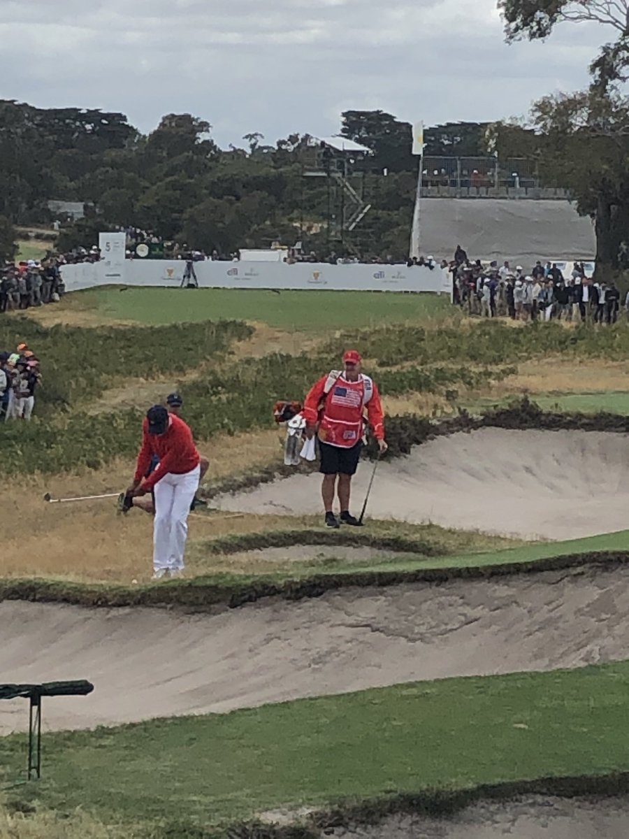 gembrom's tweet image. 