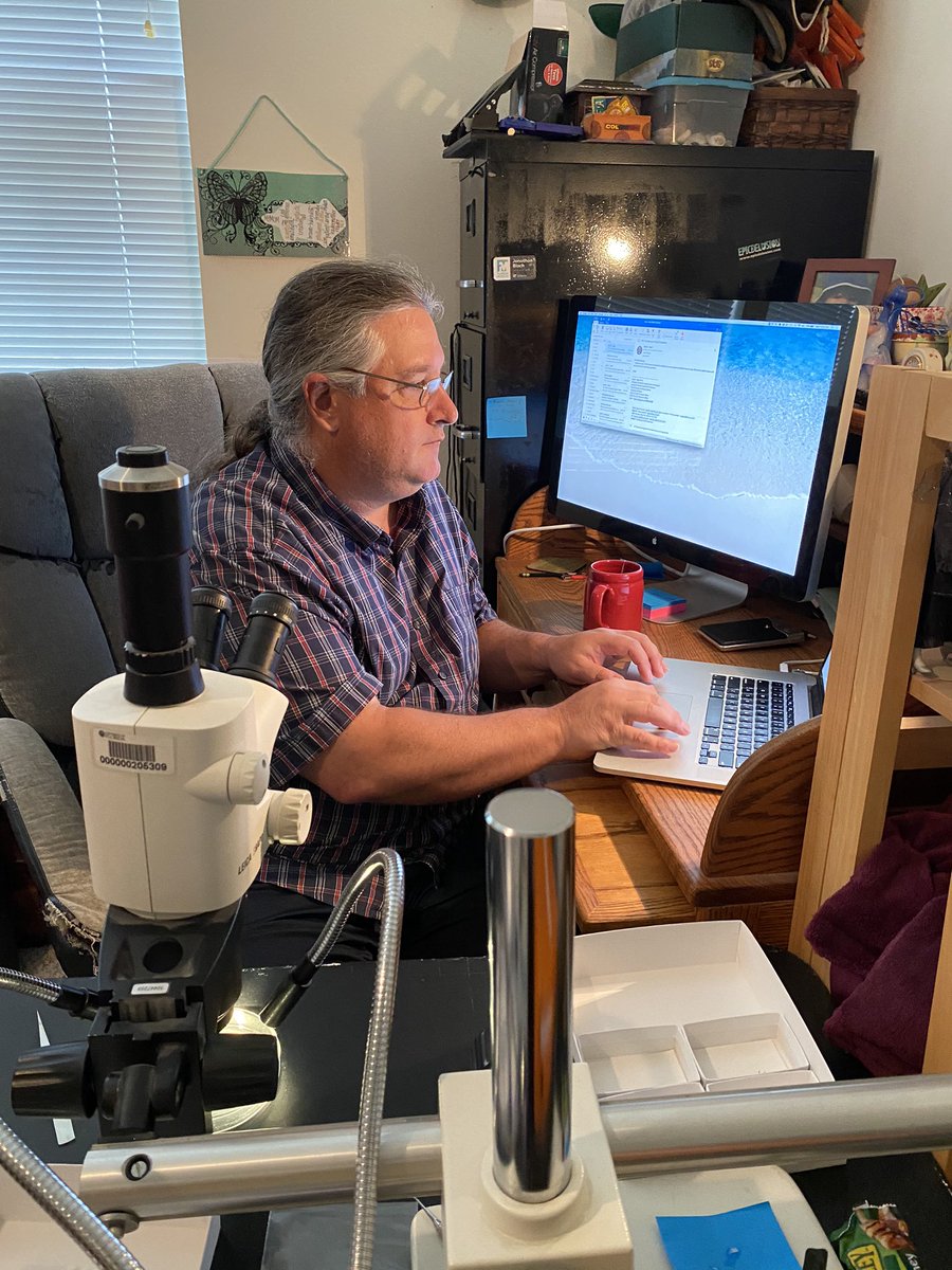 Home paleontology lab set up to study micromammals we collected last summer from the early Eocene of Wyoming including bones of the oldest modern primates! @nsvitek <a href="/FloridaMuseum/">Florida Museum</a> <a href="/WashakieMuseum/">Washakie Museum</a> #PETM #allgoodinthewillwood #SocialDistancing