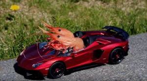 Demsrolling's tweet photo. Vroom vroom https://t.co/atctjg9glJ