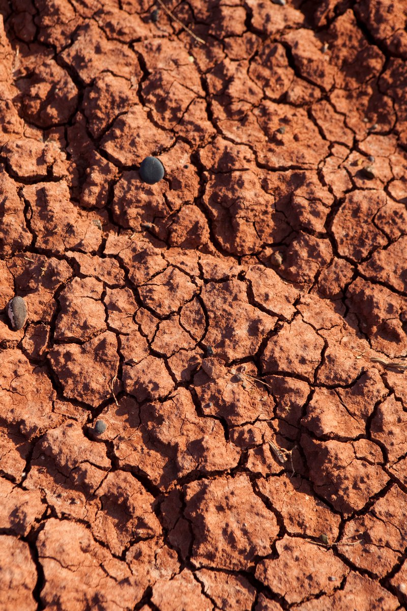 El valle de San Patricio del Chañar posee un clima desértico continental con temperaturas promedio bajas y una óptima amplitud térmica en etapa de maduración.

#Patagonia #Argentina