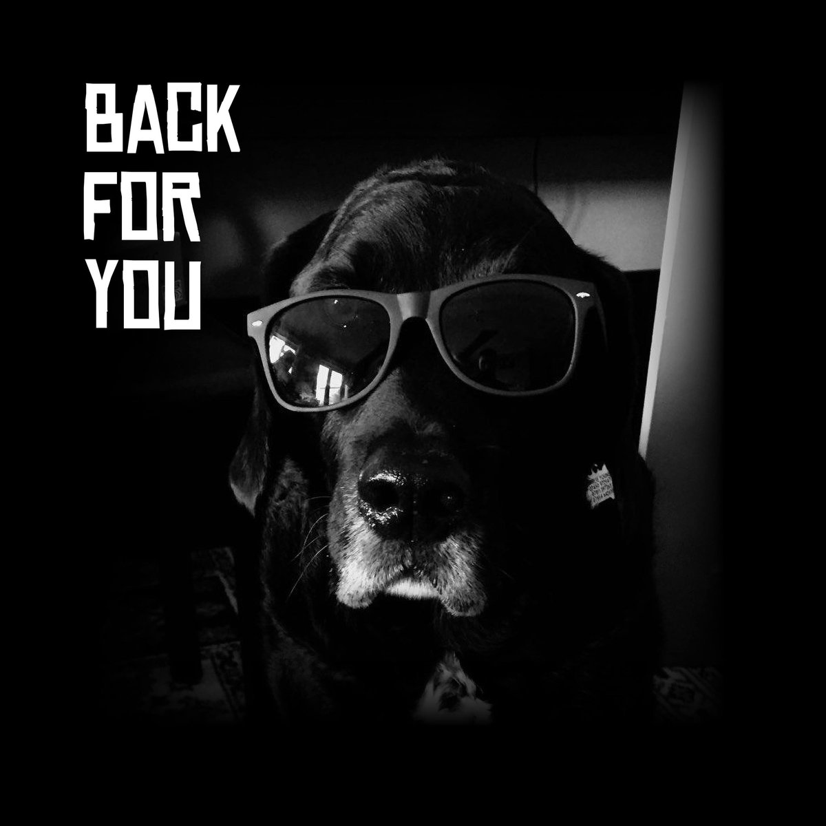 SamYoungMusic1's tweet photo. 01/05/2020......👀🎵
.
.
.
.
.
.
#isolationcreation #newsingle #singersongwriter #cooldog #backforyou #wivenhoeartists #martinguitars #acousticguitar https://t.co/LG8vsudf5p