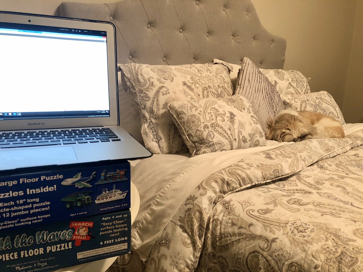 DocKelly_MD's tweet photo. My new home office is going to take some getting used to! #COVID19 #telehealth #Telemedicine #PhysicalDistancing #physician #orthopedics #physiatry #HomeOfficeChallenge #dogsoftwitter https://t.co/yCceT69CEo