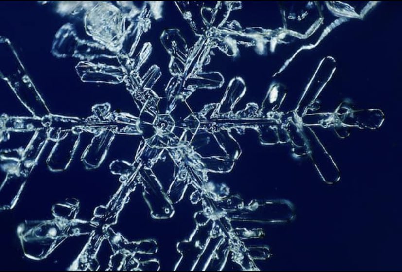 TGSAEnglish's tweet photo. DAY 6 CHALLENGE ⬇️

Model:

The freezing water spread its limbs to touch the the entire surface of the dormant, lifeless lake. The memory of movement was lost. Stillness deafened in its abundance and the air seemed to mimic nature as it lay prostrate upon the hardened shell.

❄️ https://t.co/97zZn3XcQV