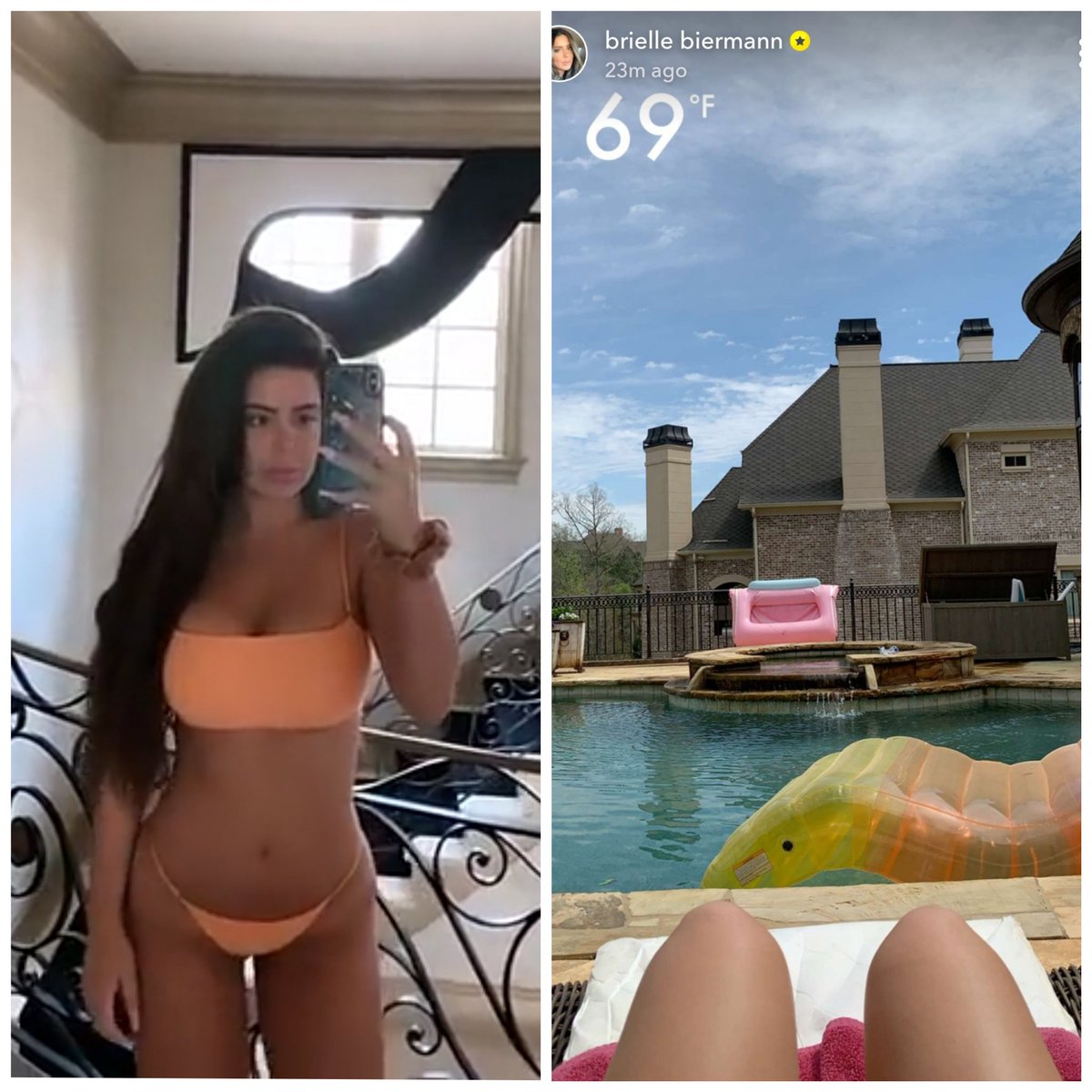 lowdownmonkey's tweet image. Burger loves that mirror but when shes near scenery where you take a photo by the pool in your bathing suit she does this 😂 No wonder you can't get a man, living at home doesn't help @BrielleZolciak @thegood91423449 @Trailerpark_PI @life_of_wig