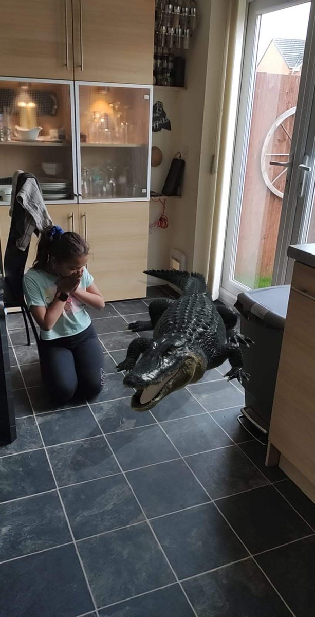 Dianna_Mannhart's tweet photo. This is a fun new feature to entertain the kids for an hour 🐊🦁🦅 Thanks @Google #Google3Danimals #GoogleZoo #viewin3D #VirtualZoo https://t.co/CLowjEGYu7