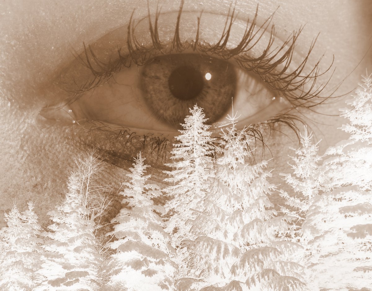 MrHicksArt's tweet photo. A mysterious #DAPProjectoftheDay by Jayanti Upadhyay. Double Exposure that started as an experiment and turned into something fantastic! #BrunswickPride https://t.co/PWGu1SFyB6