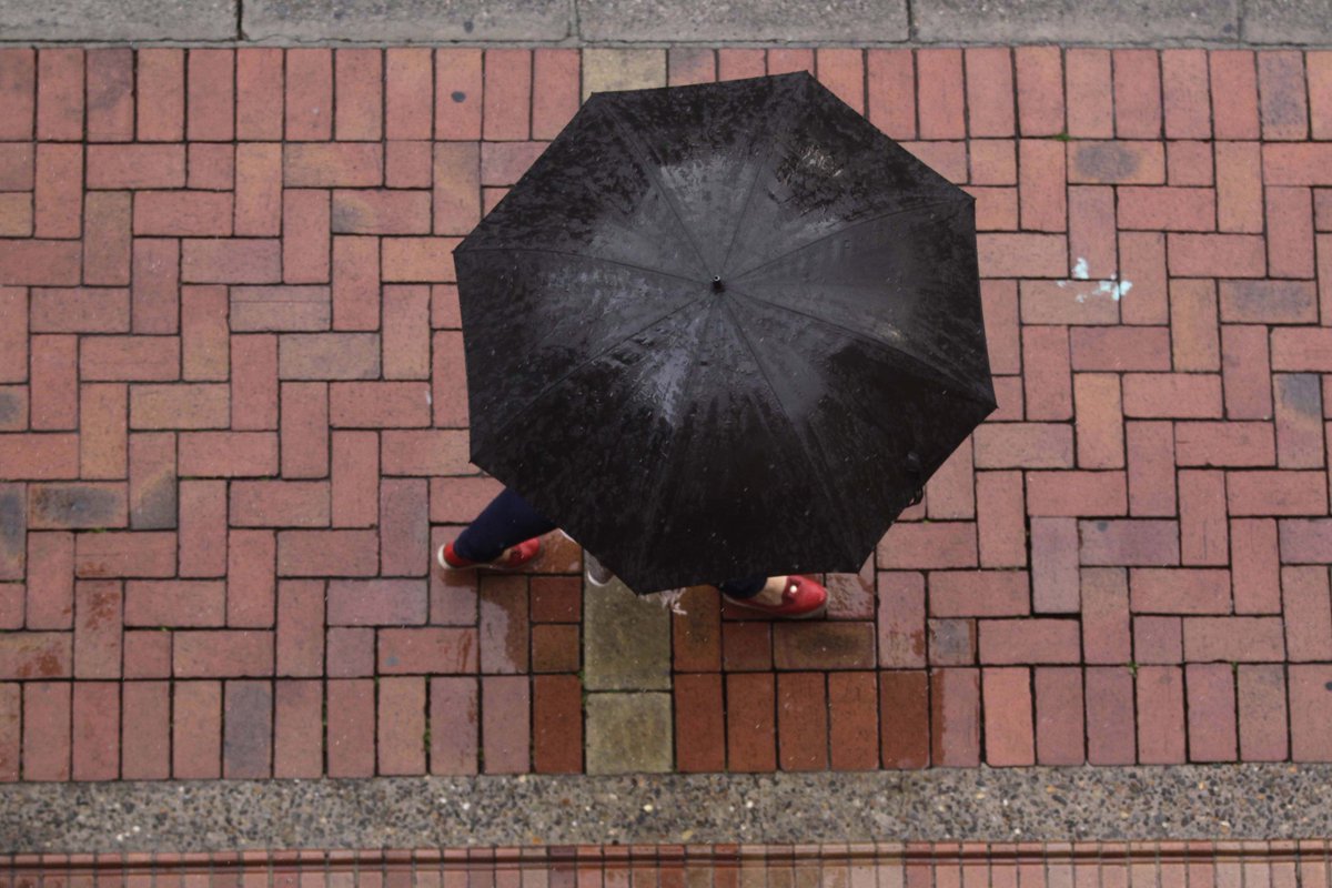 cduranaraujo's tweet photo. Desde mi ventana.  #llovizna #rainyday #umbrellas  #paraguas #aislamiento #cuarentena #quarantine #covid-19 #coronavirus #bogota #colombia #mequedoencasa #windowsview #StayAtHome https://t.co/5na6EyoOBg