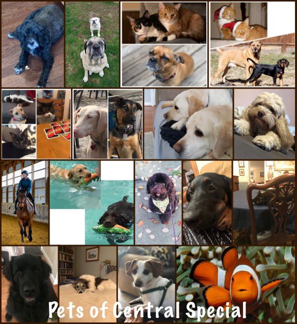 CarrieConnor20's tweet photo. Here are some of our furry and not so furry friends!! @CentralSpecial #PetsofAACPS #AACPSAwesome https://t.co/kb88TWdRcS