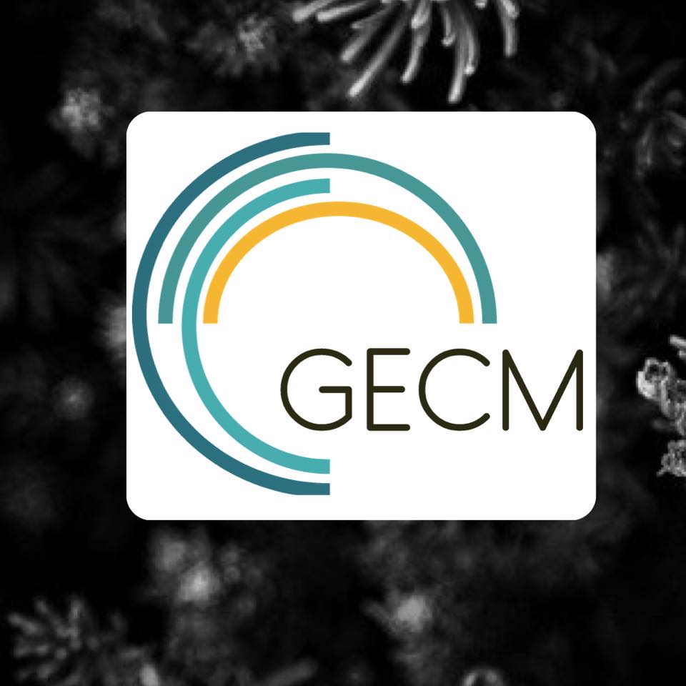 GecmGreece's tweet photo. Find us in Facebook! @GenderEqualityChartermarkforSchoolsGR https://t.co/H6fbGdVKEU