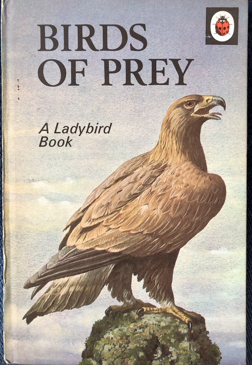 LBFlyawayhome's tweet image. Ladybird book pictures on request. 
‘A nature book from 1970, please’
Birds of Prey, 1970

#JohnLeighPemberton @helenbee