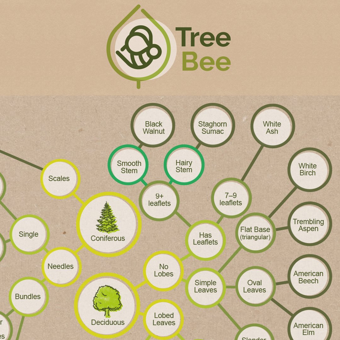 PlantChoir's tweet photo. #NationalTakeaWalkInTheParkDay If you are planning on taking a walk in the park with your kids, check out @Forests_Ontario https://t.co/o8vE2Lispx online app! The only thing cooler would be taking 🌿PLANTChoir so you can HEAR the music 🎶 Mother Nature 🌸 creates too! https://t.co/zBed2EbXbi