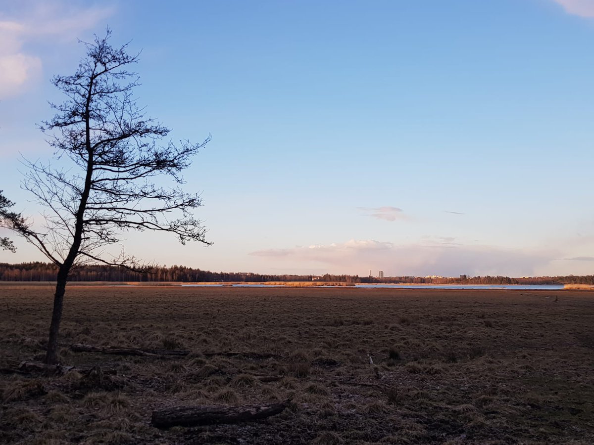 TeeaKan's tweet photo. Day 2/7 of my life in pictures. Rules: no words. No people. I was nominated by @sidekisko. Please feel free to share your life in pictures in these extraordinary times. https://t.co/BiXEgrup5a