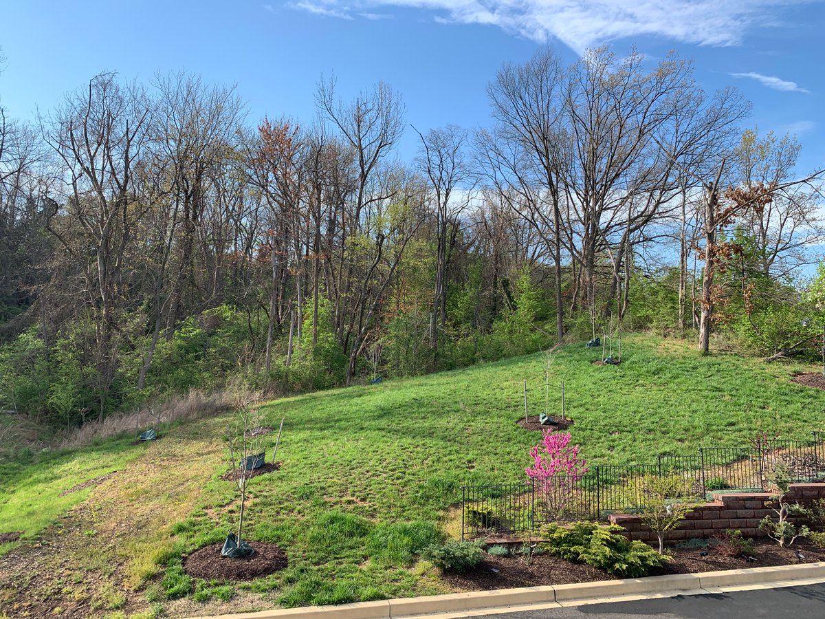 "I felt my lungs inflate with the onrush of scenery - air, mountains, trees, people. I thought, "This is what it is to be happy." -Sylvia Plath

To join our online classes, email us at management@blacklotusdc.com 🌎