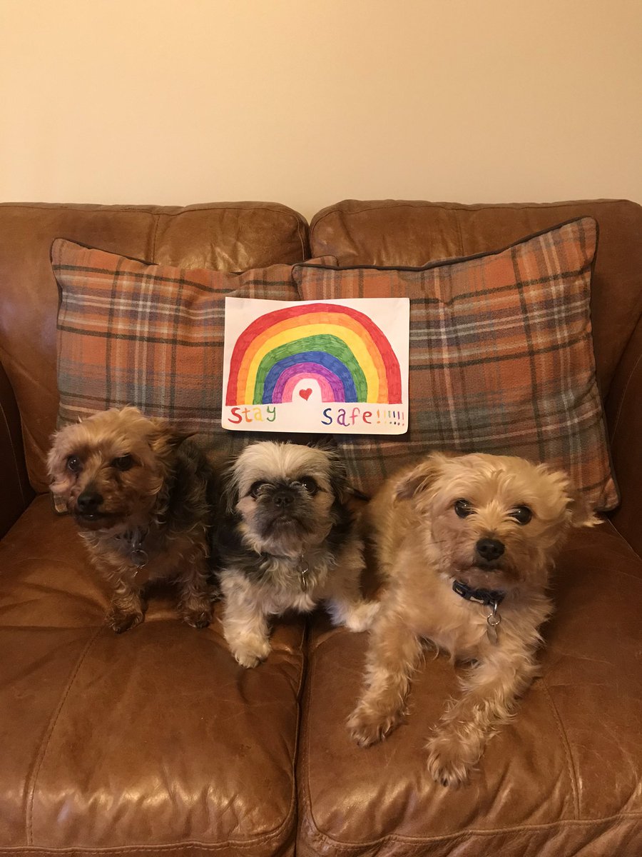 PugglePooh's tweet photo. Our rainbow #rainbow #staysafe #letsbeatcovid19 https://t.co/Yfj71SDL39