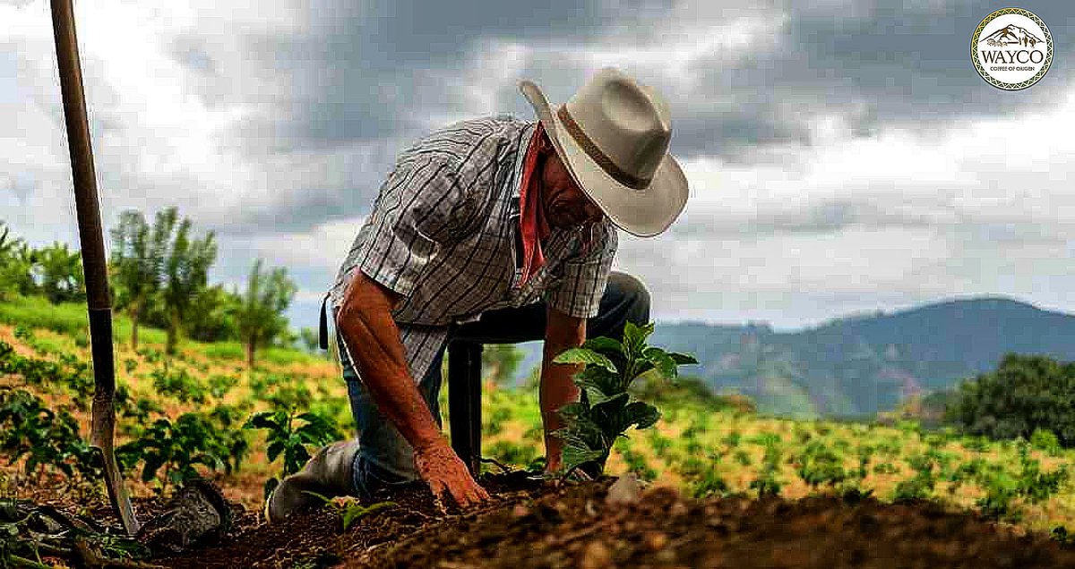 AgroWayco's tweet photo. #ElCampoNoPara #ElCampoPorTi #AgroWayCo https://t.co/q9L4cqDeKe