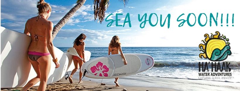 HaHaakCozumel's tweet photo. En Hahaak sabemos que pronto estaremos en el agua disfrutando https://t.co/dXTSy3M7vn #paddleboard @C_W_S_2010  #watersports en #Cozumel @CozumelToday @CzmHotels @CozuPearlFarm @thisiscozumel Nos vemos pronto, mientras🥰 #YoMeQuedoEnCasa https://t.co/kkzqaIahZS