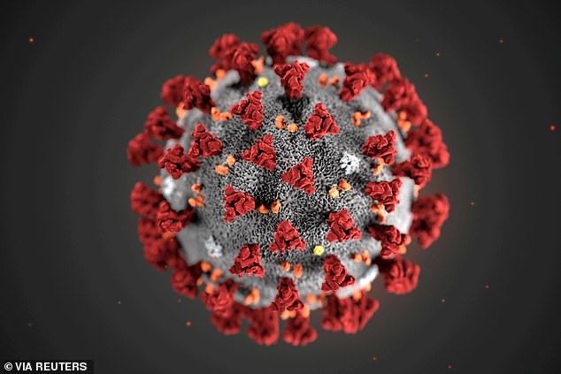 How a large viral load could make coronavirus infection worse
 mol.im/a/8166867 <a href="/IrmaRaste/">IrmaRaste ✨ InfluenceThroughStorytelling™</a> <a href="/eViRaHealth/">B2B HealthTech Experts</a> #COVID19 #Covid_19 #coronavirus #coronapocolypse #StayAtHomeAndStaySafe