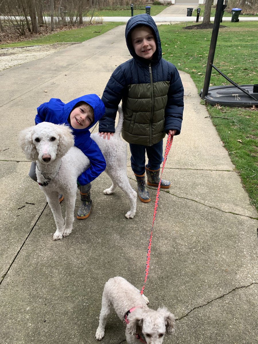 jen44260's tweet photo. Happy Spirit Week from Tommy &amp; Daisy and Danny &amp; Lily!!! https://t.co/jFozjSYCHK