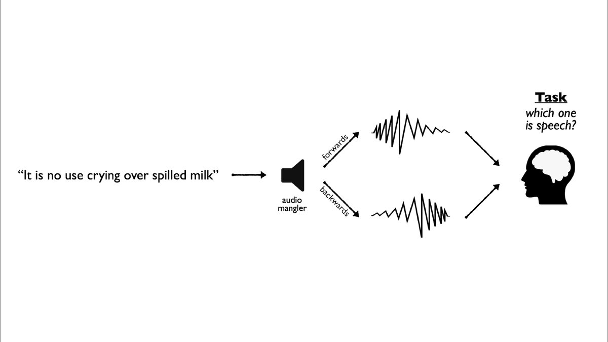 How can we know when machines *do* perceive a stimulus in ways that humans *do not*? <a href="/JohnsHopkins/">Johns Hopkins University</a> Undergrad Michael Lepori &amp; I make an empirical and theoretical case that human-machine comparisons should use task designs from human psychophysics research

arxiv.org/abs/2003.12362