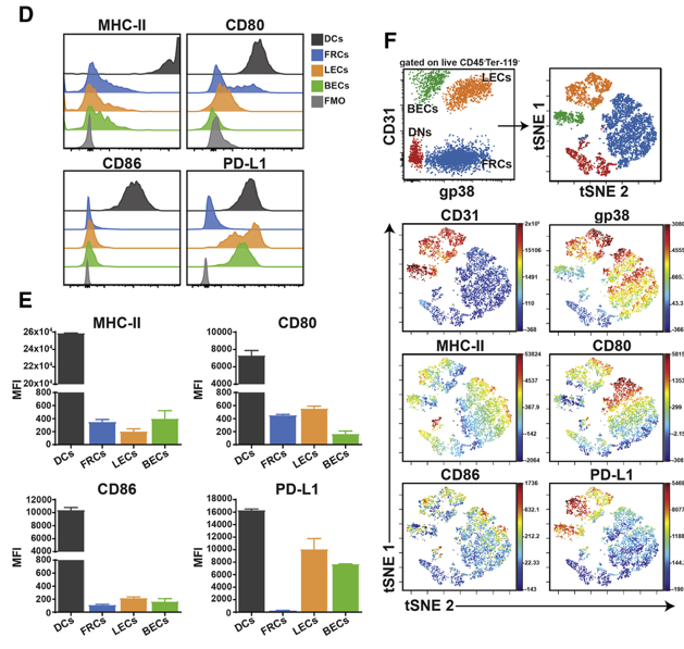 mmw_lmw's tweet photo. Controlling #Autoreactive_T and #B_Cell_Responses | Lymph Node #StromalCells Generate Antigen-Specific #Regulatory_T_Cells | Reina Mebius @VUamsterdam @CellReports https://t.co/c7FpvLs2aE https://t.co/M3vfQsCIon
