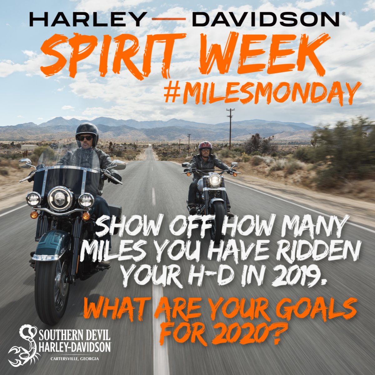SouthernDevilHD's tweet image. SPIRIT WEEK! #milesmonday #harleydavidson #southerndevilhd #letscometogether