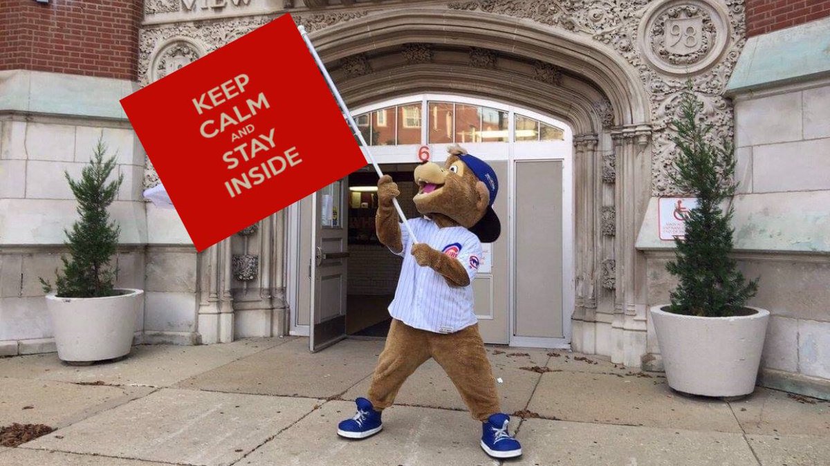 FOLVHS's tweet image. #wildcatvirtualpride 
@LakeViewHS