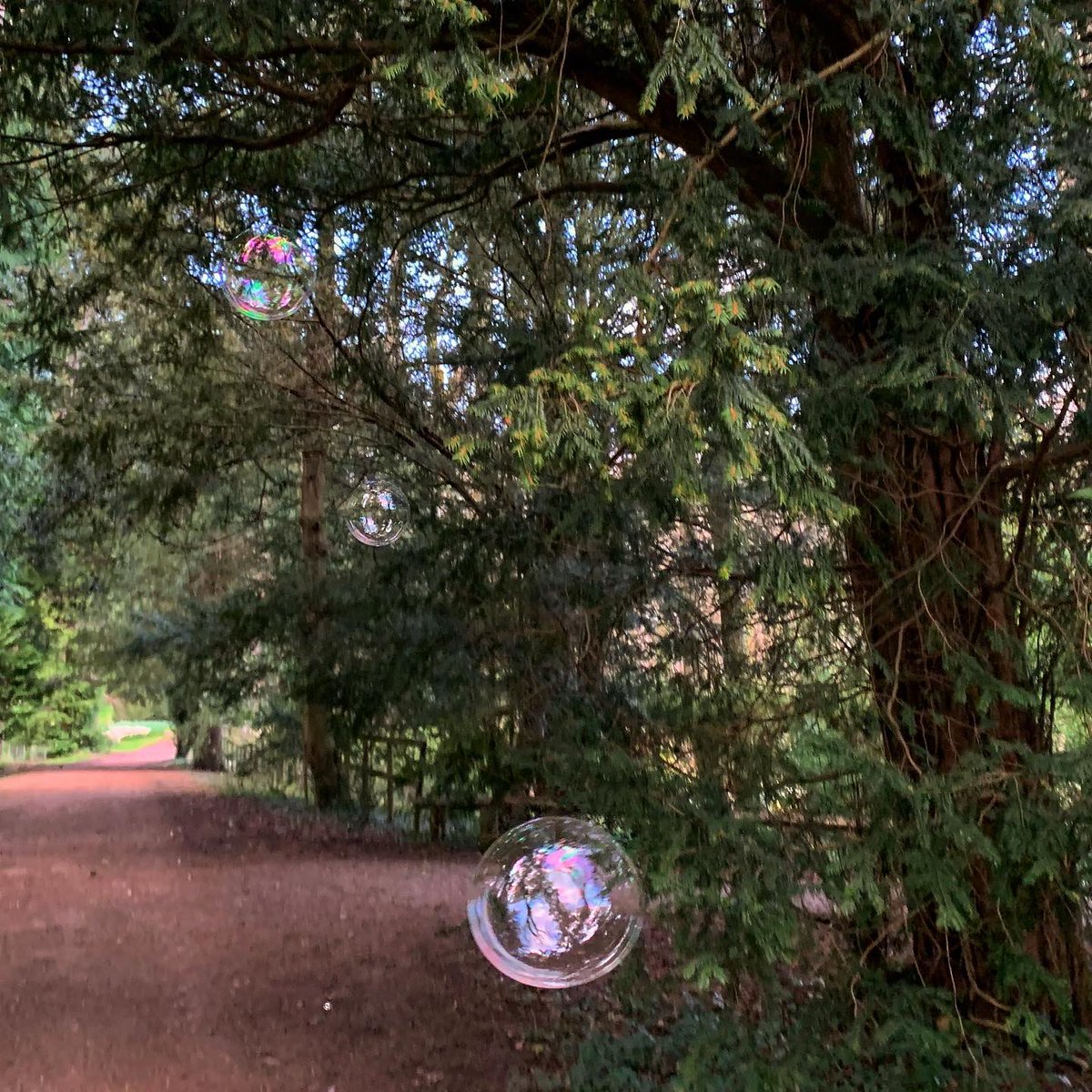 forestbathinguk's tweet photo. A simple game of bubbles kept us laughing #mindfulness #connectinnature #thenatureremedy #forestbathinguk #forestbathing #bubbles #covid_19 https://t.co/7hc8hwNeV5
