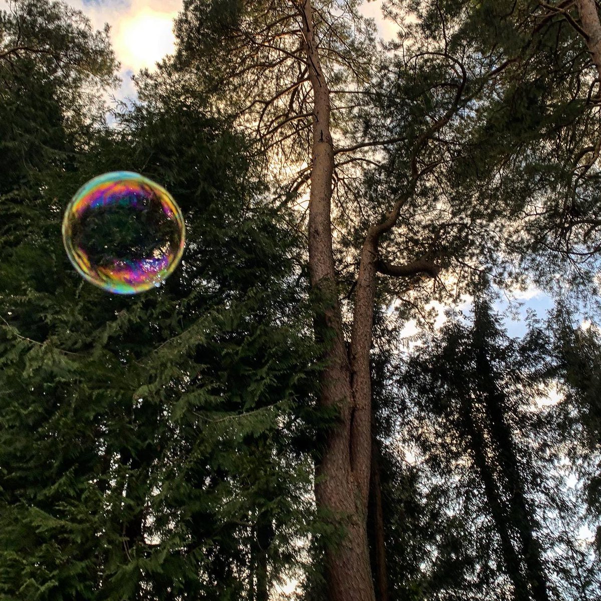 forestbathinguk's tweet photo. A simple game of bubbles kept us laughing #mindfulness #connectinnature #thenatureremedy #forestbathinguk #forestbathing #bubbles #covid_19 https://t.co/7hc8hwNeV5