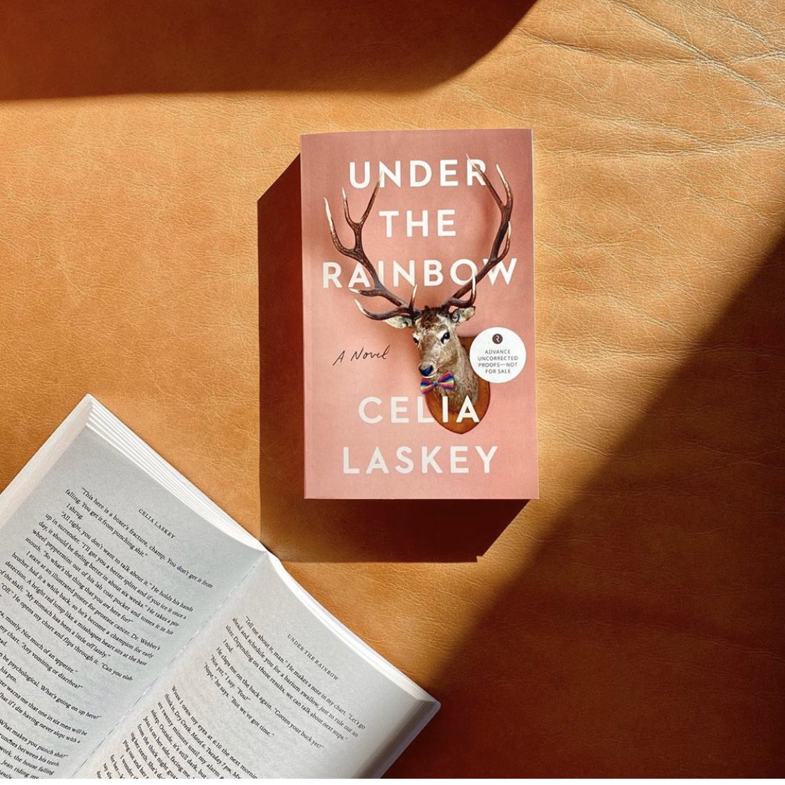 The Stacks Podcast Author Celia Laskey Is Going Live With Us Tomorrow Tuesday At 5pm Pst To Discuss Her Debut Novel Under The Rainbow Check It Out T Co Vpkhen09nf T Co Xjsfrofj The Stacks Podcast Author Celia Laskey Is Going Live With Us Tomorrow Tuesday At 5pm Pst To Discuss Her Debut Novel Under The Rainbow Check It Out T Co Vpkhen09nf T Co Xjsfrofj