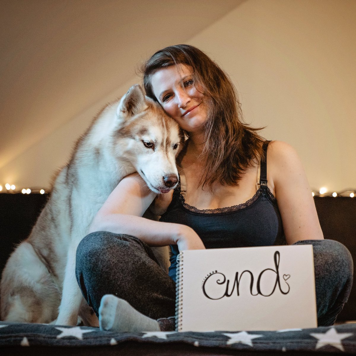 Stay Home 🐺❤️
#StayHome #COVID19 #TogetherAtHome 
#siberianhusky 
** feel free to share **