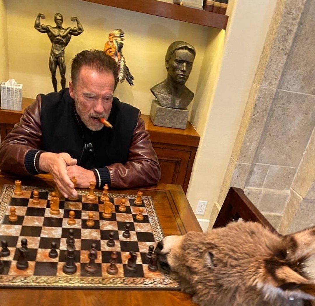 E verdade isso?? Raffael Chess Jogando às cegas!!!