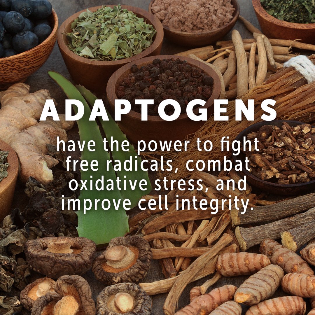 drink_synergy's tweet photo. GT's ALIVE adaptogenic tea offers three of the most powerful adaptogens to defend your body against oxidative stress: reishi, chaga, &amp; turkey tail. What's your favorite flavor?

#GTsAlive #AdaptogenicTea #Adaptogens #DailyDefense #Chaga #TurkeyTail #Reishi #Tea #BeWell https://t.co/bwxH0ze5zE