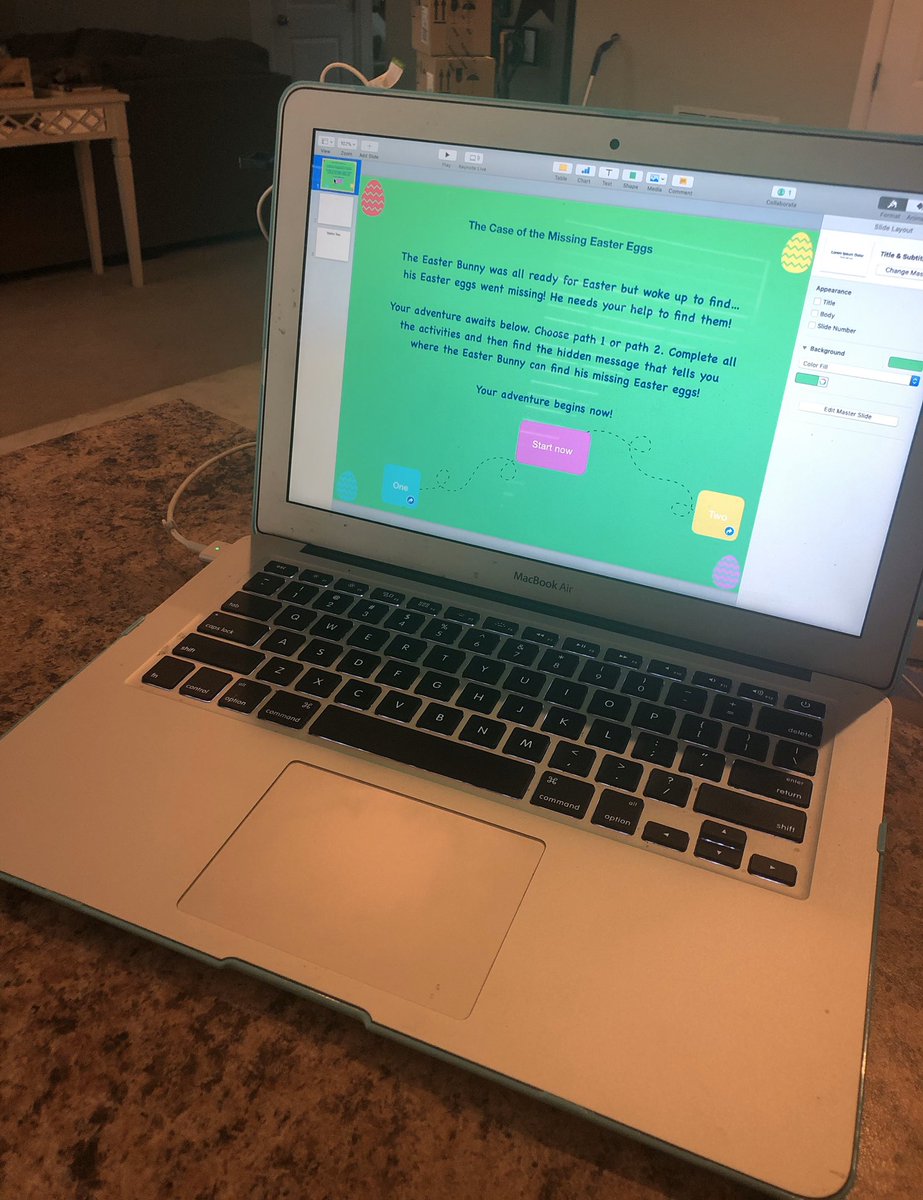 Michelle Steshoski tweet media