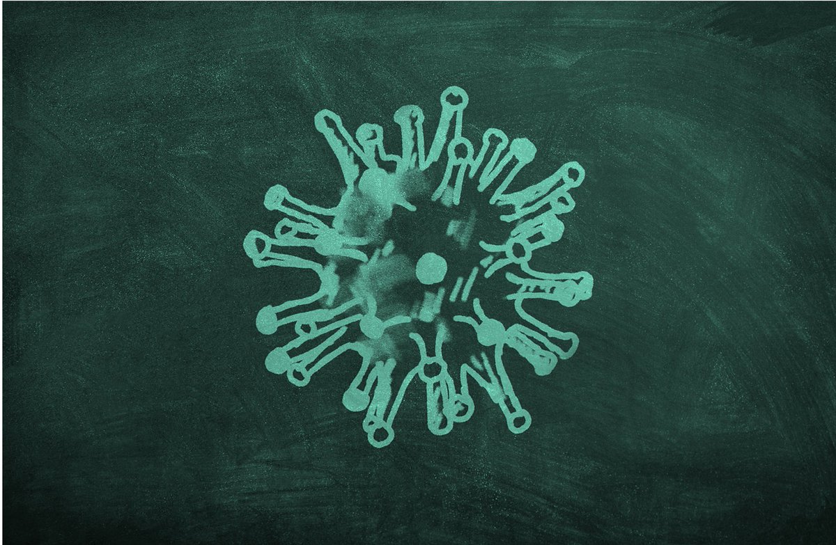 PI Lisboa tweet media