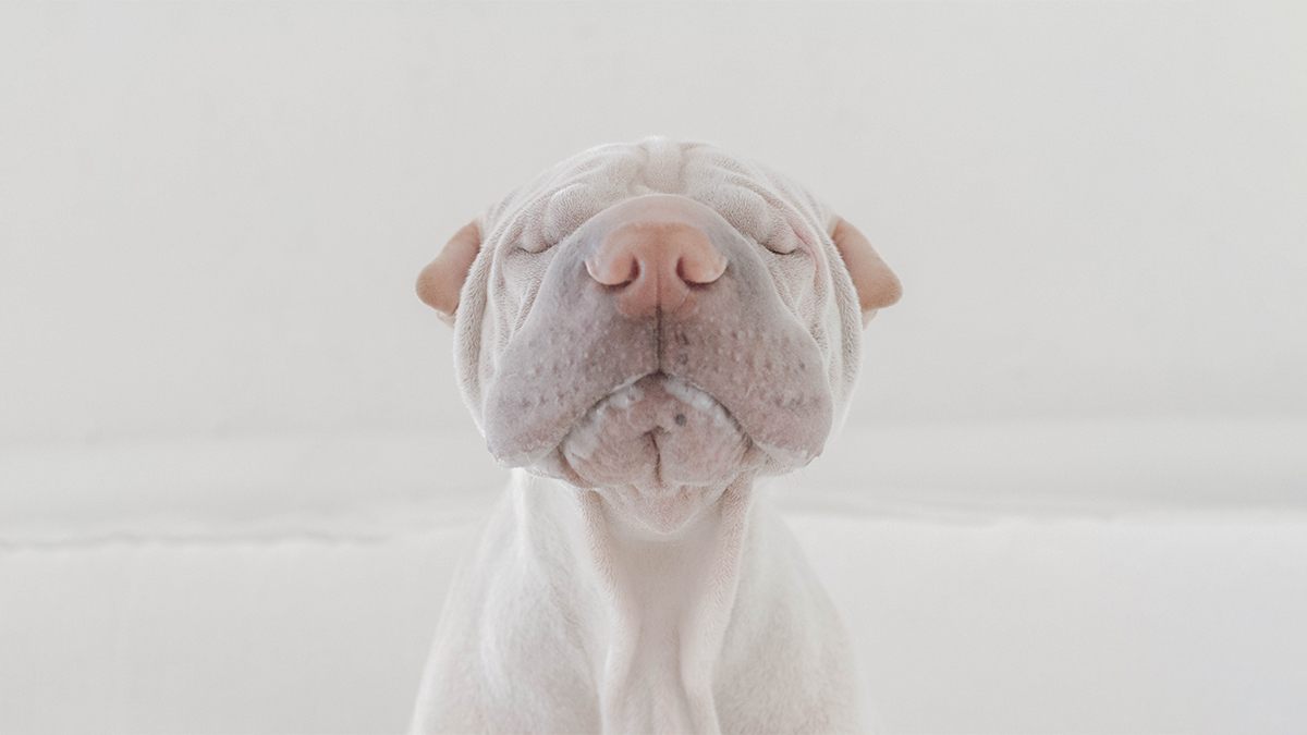 thisis_sar's tweet photo. Coping with fatigue, fear, and panic during a crisis. Learn how we can take better care of ourselves and build more resilience: https://t.co/1MhPjBWpU2 #PositiveThinking  
#CRE #toronto #colliersinternational https://t.co/Z9PuSCuniv